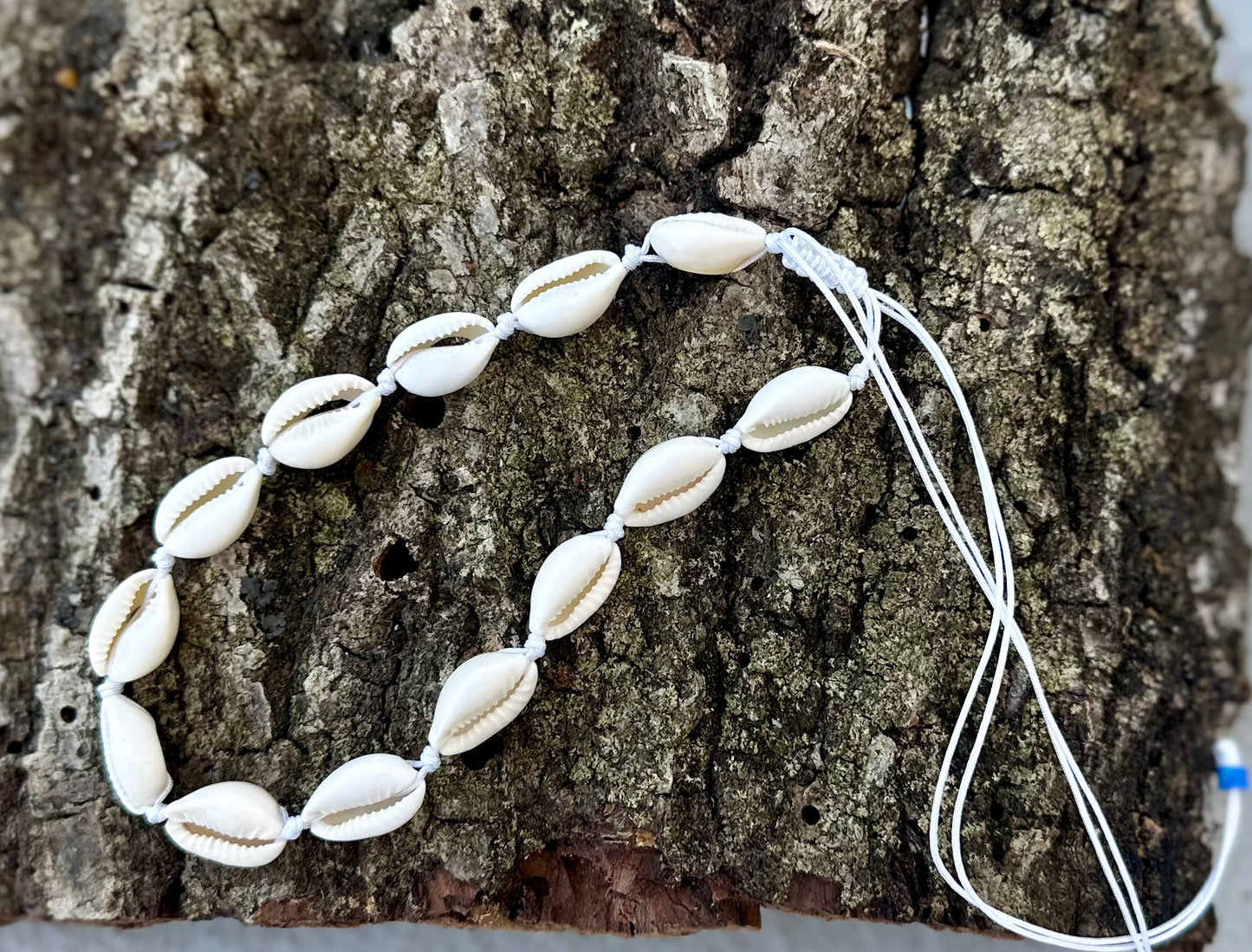 Collares de Caracoles 🐚