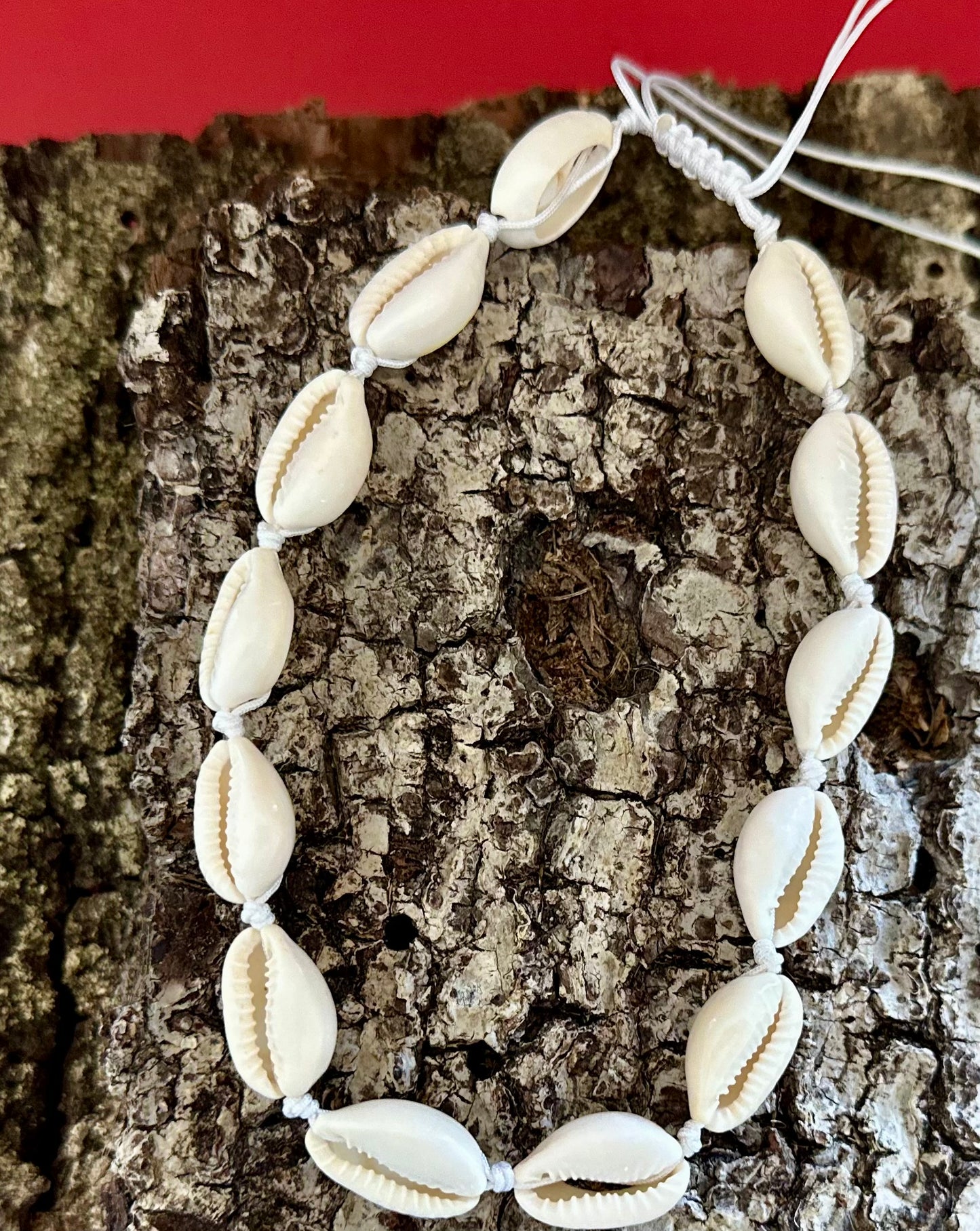Collares de Caracoles 🐚