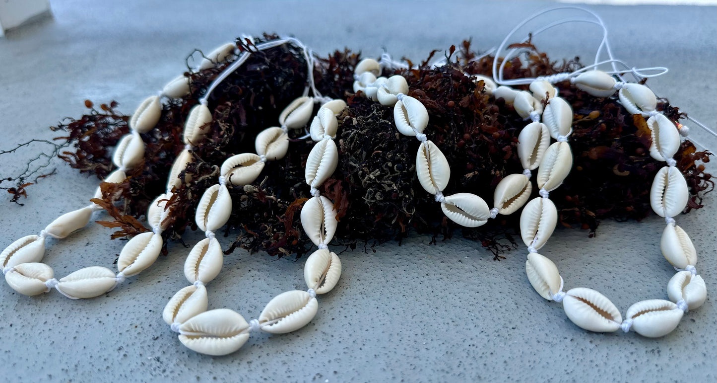 Collares de Caracoles 🐚