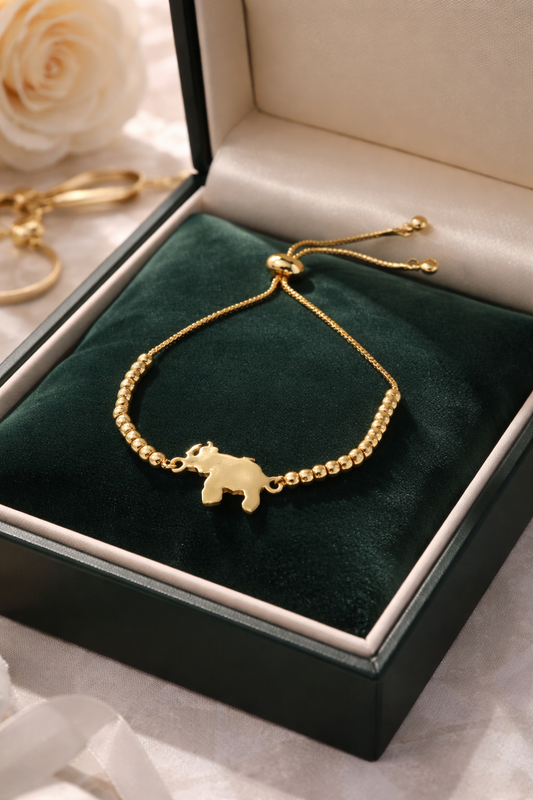 A Pulseras de Balines 🇻🇪