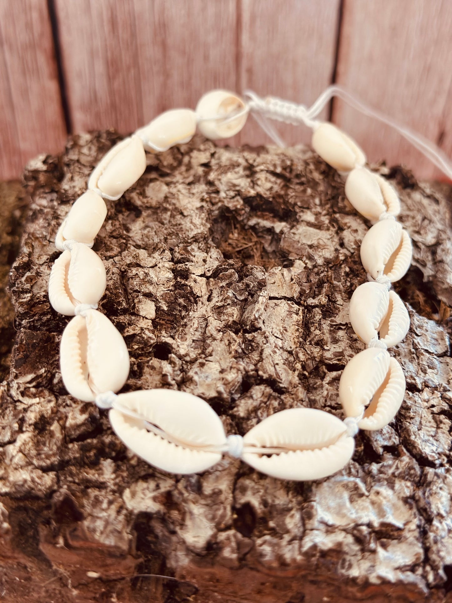Collares de Caracoles 🐚