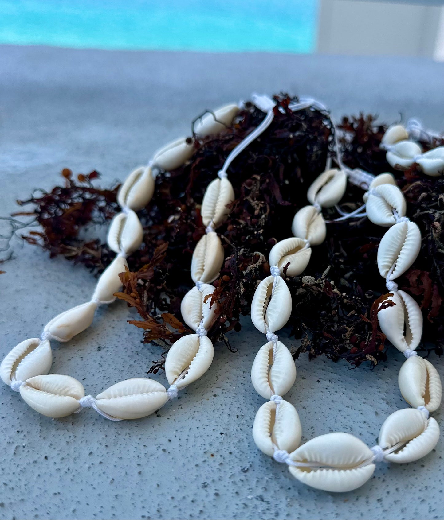 Collares de Caracoles 🐚